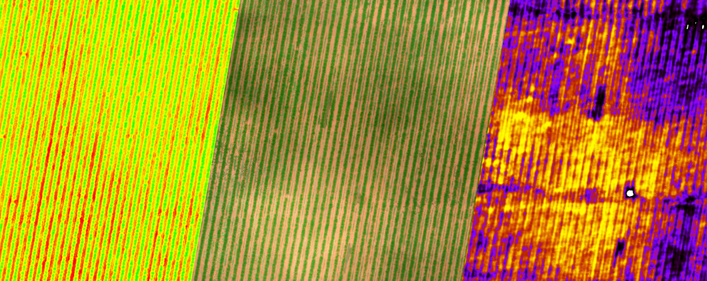 vistaagricultura-de-precicion-mapa-vigor